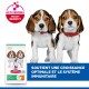 Deux chiots beagle avec colliers rouges à côté d'un sac de nourriture pour chiots Hill's ; badge «ACTIVBIOME+» et texte en français sur la croissance et l'immunité.