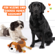 Zwei Hunde, ein schwarzer Labrador und ein kleiner braun-weißer Hund, sitzen neben einem plüschigen Hundespielzeug. Der Text lautet 'Für kleine und große Hunde geeignet.'