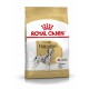 Sac de nourriture pour chiens Royal Canin Adult Dalmatian, avec une illustration de Dalmatien, avec un texte mettant en avant la nutrition spécifique à la race.