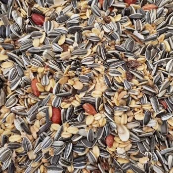 Winterfutter | Streufutter für Wildvögel 2,5 kg