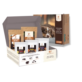 Wildfang Hundesnack-Starterset mit verschiedenen Snacks in Beuteln und Boxen, mit einem Bild eines braun-weißen Hundes.