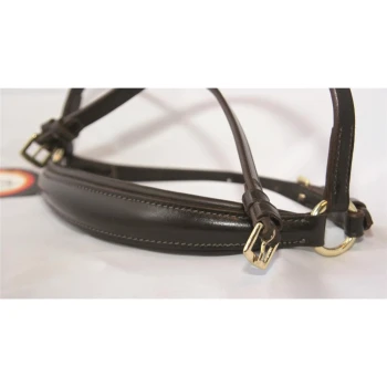 Braunes Leder-Hundegeschirr mit goldenen Schnallen und Nähdetails, vor einem weißen Hintergrund präsentiert.