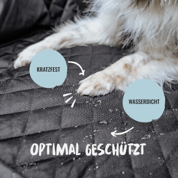 Die Pfote eines Hundes auf einer schwarzen, gesteppten Matte mit Wassertropfen, beschriftet mit "kratzfest," "wasserdicht," und "optimal geschützt."