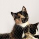 Katzennetz inkl. Befestigung