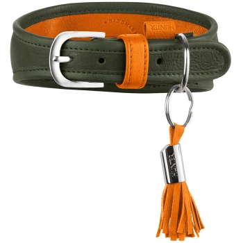 Grünes Lederhalsband für Hunde mit orangefarbenem Futter und Quastenanhänger, silberner Schnalle und Ring; Metallanhänger mit Gravur 'HUNTER'.