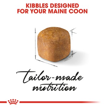 Kibble designed for Maine Coons, featuring a single kibble piece with measurements, and the text "tailor-made nutrition."