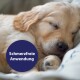 Eine Nahaufnahme eines schlafenden Hundes mit einem weichen, goldenen Fell, mit einem runden blauen Etikett, das "Schmerzfreie Anwendung" (pain-free application) liest.