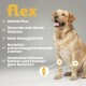 Ein gelbes und weißes "Flex"-Etikett mit einem Labrador Retriever, das die Vorteile für die Gelenkgesundheit auflistet und eine Gelenkillustration zeigt.