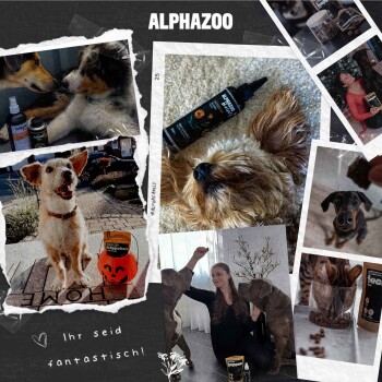 Collage von Hunden, die mit Produkten aus einem Online-Haustiergeschäft interagieren, mit einer Flasche, die "ALPHAZOO" beschriftet ist, und einer verspielten Atmosphäre.