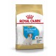 Karma dla szczeniąt Royal Canin dla terierów Jack Russell, z wizerunkiem szczeniaka na opakowaniu, odpowiednia dla psów do 10. miesiąca życia.