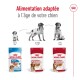 Medium Adult en sauce 10x140 g