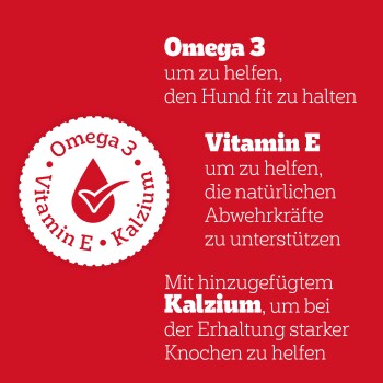 Roter Hintergrund mit Text, der Omega 3, Vitamin E und Kalzium Vorteile für Fitness, Immunität und starke Knochen von Hunden hervorhebt.