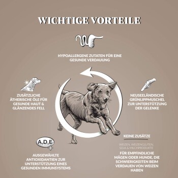 Illustration eines Hundes mit Text zu den Vorteilen von Haustierfutter: hypoallergen, ätherische Öle für die Haut, Antioxidantien für die Immunität und Muscheln für die Gelenke.