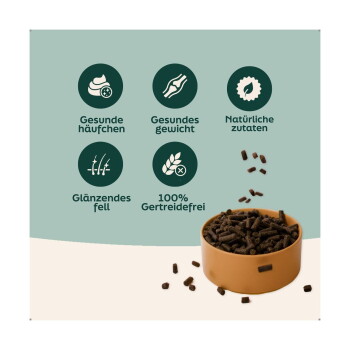 Schüssel mit braunen Pellet-Futter und fallenden Kroketten; grüne Symbole und deutscher Text '100% Getreidefrei', 'Gesundes Gewicht'.