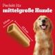 Ein Golden Retriever lächelt neben einem Hundeleckerli, das 12,5 cm mal 2,6 cm misst, auf einem roten Hintergrund mit dem Text 'Perfekt für mittelgroße Hunde.'