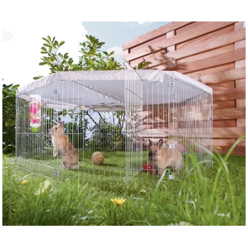 Deux lapins jouent dans un enclos extérieur spacieux avec un auvent, entourés d'herbe verte et de fleurs, avec une bouteille d'eau et une balle de foin.