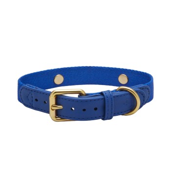 Blaue Haustierhalsband mit einer goldenen Schnalle und D-Ring, mit einem strukturierten Design und verstellbaren Löchern für die Größe.