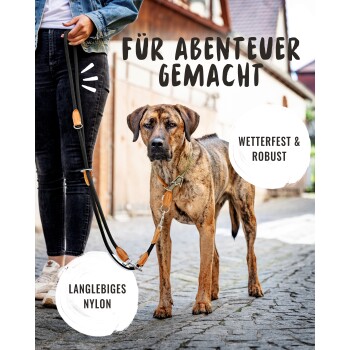 Eine Person hält eine strapazierfähige braune und schwarze Nylon-Hundeleine neben einem großen Hund auf einer Kopfsteinpflasterstraße. Text: "FÜR ABENTEUER GEMACHT."