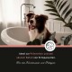 Ein glücklicher braun-weißer Border Collie sitzt in einer Badewanne mit grünen Pflanzen. Text: "Ideal zur Vorbeugung und Behandlung von Ektoparasiten."