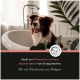 Ein glücklicher braun-weißer Border Collie sitzt in einer Badewanne mit grünen Pflanzen. Text: "Ideal zur Vorbeugung und Behandlung von Ektoparasiten."