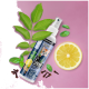 Flasche Z-Spray für Haustiere, mit Text, der seine sanfte Alternative, Haut- und Fellpflege und einfache Anwendung als Umweltspray hervorhebt.