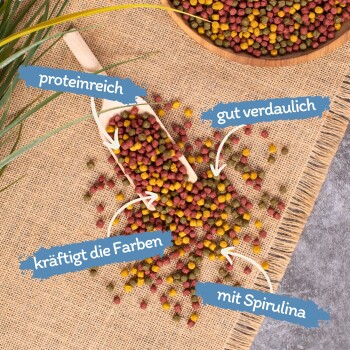 Bunte Haustierfutterpellets auf Jute mit einer Holzschaufel. Text: "proteinreich", "gut verdaulich", "kräftigt die Farben", "mit Spirulina."