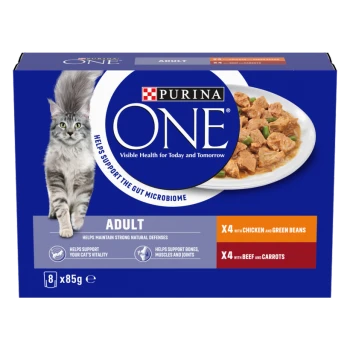 Purina ONE Adult cat wet food box, gray cat and bowl of chunks, 'x4 chicken & green beans; x4 beef & carrots'