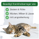 Eine entspannte getigerte Katze auf einer hellen Oberfläche, mit dem Text, der besagt, dass sie Krankheitserreger wie Zecken, Flöhe und Mücken beseitigt.