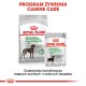 Opakowanie karmy dla psów Royal Canin Digestive Care z dużą torbą "MAXI" i mniejszą saszetką "ALL SIZES," podkreślające lepszą jakość stolca.