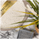 Eine Nahaufnahme einer beigen Schüssel, gefüllt mit hochwertigem Katzenstreu, mit einem goldenen "PREMIUM"-Label, mit einer Pflanze und einem grauen Streuschaufel in der Nähe.