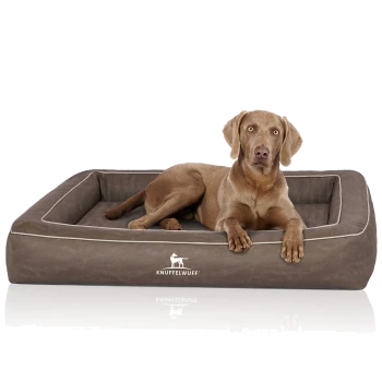 Ein brauner Hund, der auf einem plüschigen, rechteckigen Hundebett mit weißem Rand ruht, mit dem Markennamen "KNUFFELWUFF" deutlich sichtbar.