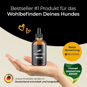 Bestsellerprodukt von Hundpur für das Wohlbefinden von Hunden, mit einer Pipettenflasche in einer Hand, mit Text, der Bewertungen und Auszeichnungen hervorhebt.