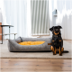 Ein kleiner schwarz-brauner Hund sitzt neben einem gemütlichen grauen Haustierbett mit einem gelben Kissen in einem hellen, modernen Raum.