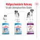 Royal Canin Hundefutterbeutel für verschiedene Lebensphasen: Welpe (2-8 Monate), Junior (8-18/24 Monate) und XL Riesen-Erwachsene (18/24 Monate).