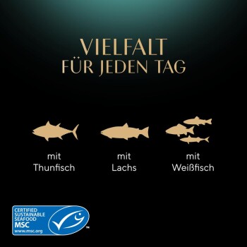 Bild, das Tiernahrung mit Fischsilhouetten und Text bewirbt: "Vielfalt für jeden Tag," "mit Thunfisch," "mit Lachs," "mit Weißfisch," plus MSC-Logo.