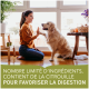 Une femme interagit avec un golden retriever près d'une fenêtre. Texte : "Ingrédients limités, contient de la citrouille pour la digestion."