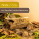 Zwei Leopardgeckos in einem felsigen Terrarium mit Baumstammversteck; Produkttext 'Naturlook' und 'mit detailreicher Rindenstruktur'.