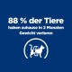 Blaue Grafik mit weißem Katzen-Symbol und Maßband; Text: '88 % der Tiere haben zuhause in 2 Monaten Gewicht verloren'.