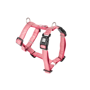 Pink verstellbares Hundegeschirr mit schwarzer Schnalle und Metallringen, beschriftet mit "Max & Molly" und "Urban Life".