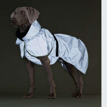 Grauer Hund trägt eine reflektierende silberne Regenjacke mit Kapuze, steht vor dunklem Hintergrund.