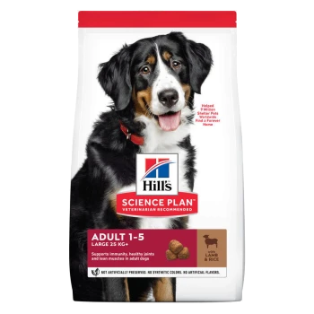 Un sac de nourriture pour chiens Hill's Science Plan avec un chien de montagne bernois sur le devant, étiqueté 'Adult 1-5 Large 25 KG+' avec des avantages nutritionnels.
