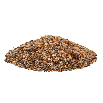 Ein bunter Haufen verschiedener Vogelfuttersorten, einschließlich kleiner Körner und Nüsse, vor einem weißen Hintergrund präsentiert.