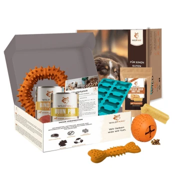 Karton mit Wildfang-Hundprodukten, darunter Dosenfutter, Leckerlis, orangefarbene Kauspielzeuge und eine blaue knochenförmige Form.