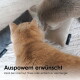 Zwei Katzen (orange und grau) um Stoffspielzeuge auf einem Teppich; deutscher Text 'Auspowern erwünscht' und Hinweis auf überschüssige Energie.
