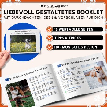 Metall-Haustierkäfig-Panel wird mit einem Maßband gemessen, das etwa 85 cm Länge auf einem Gras-Hintergrund zeigt.