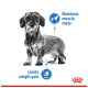 A black and white image of a small dog with a scruffy coat, accompanied by blue text stating "Maintains muscle mass" and "Limits weight gain."