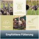 Kollage mit Straußen und Küken sowie Fütterungssymbolen; deutscher Text: 'Empfohlene Fütterung' und '2–3% des Körpergewichts füttern'