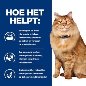 Een fluffy oranje kat met een blauwe halsband zit tegen een blauwe achtergrond met tekst over de voordelen van kattenvoer voor de gezondheid van de nieren en het behoud van spieren.