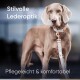 Stylisches Hundegeschirr aus Kunstleder, präsentiert an einem Hund, mit Text "Stilvolle Lederoptik" und "Pflegeleicht & komfortabel."