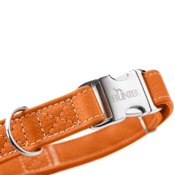 Orangenes Lederhalsband für Hunde mit einer silbernen Metallschnalle, mit dem Markennamen "HUNTER" eingraviert.